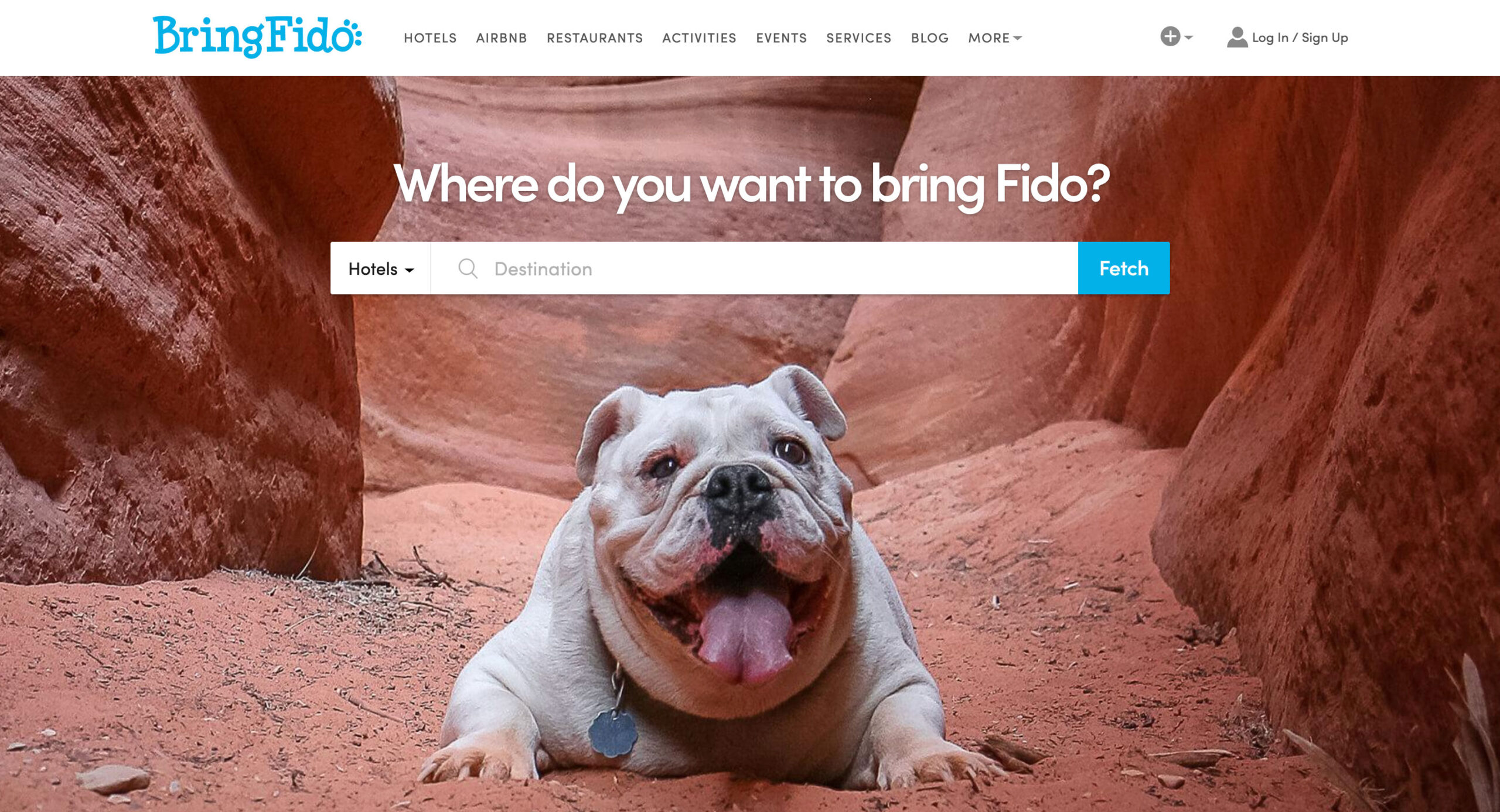 Sites Like Airbnb: BringFido